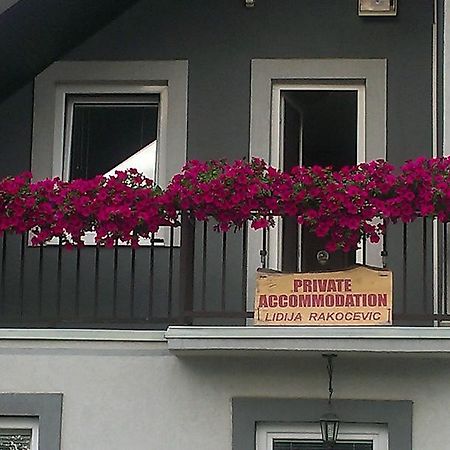 Private Accommodation Lidija Rakocevic Kolašin Kültér fotó