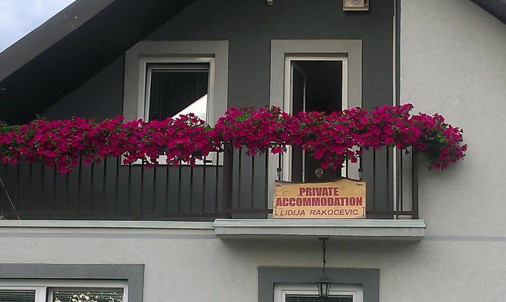 Private Accommodation Lidija Rakocevic Kolašin Kültér fotó