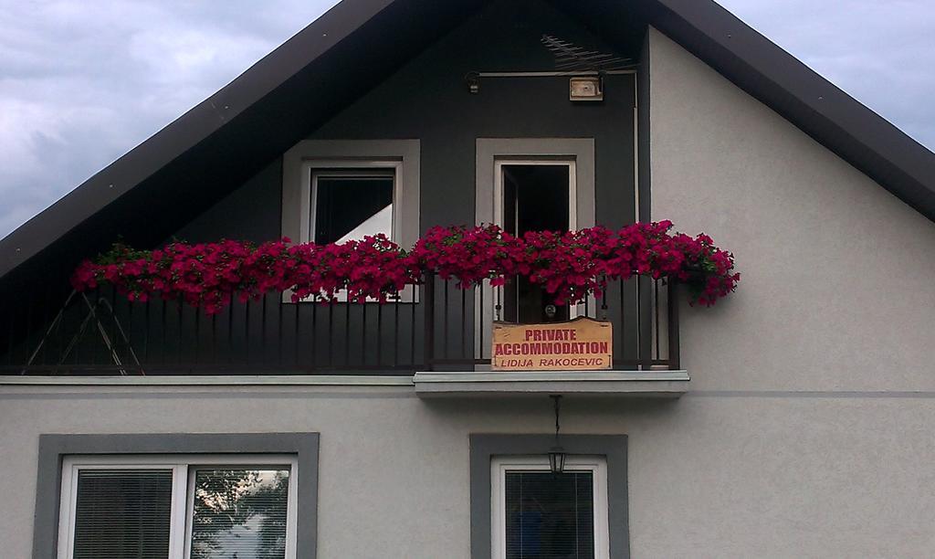 Private Accommodation Lidija Rakocevic Kolašin Kültér fotó